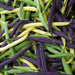 Basket containing yellow, purple and green bush beans grown from seed.