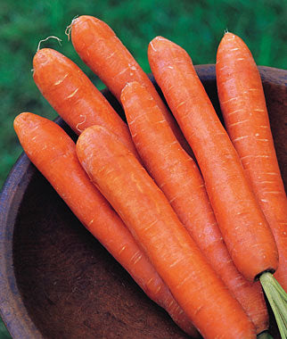Nantes Half Long - Tape Carrot