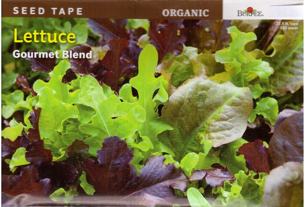 Gourmet Blend - Tape Lettuce