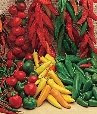 Cayenne Long Red Slim Hot Pepper Seeds — Seeds 'n Such