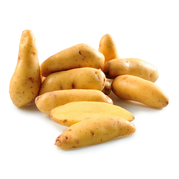 Banana Fingerling Potatoes