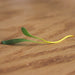 Touchstone Gold Beet sprout grown from seed resting on a wood background.