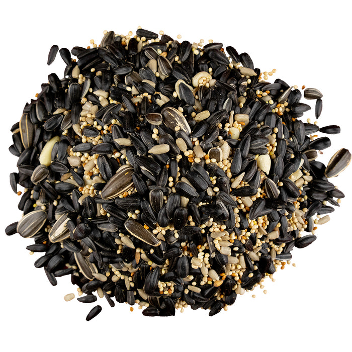Bird Pro Backyard Blend (10 lb) — Rohrer Seeds