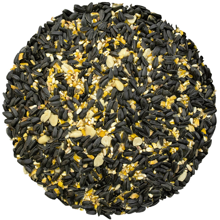 Bird Pro Year Round Favorite (10 lb) — Rohrer Seeds