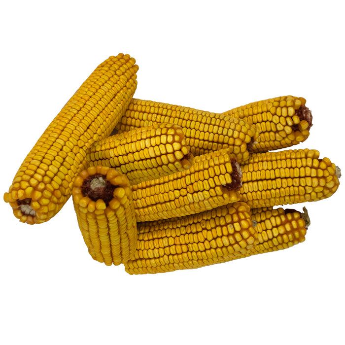 Ear Cor Bird Pro Premium Ear Corn (14 lb) — Rohrer Seeds