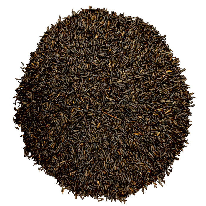 thistle nyjer seed plant Bird Pro Premium Nyjer Thistle Seed (5 lb)