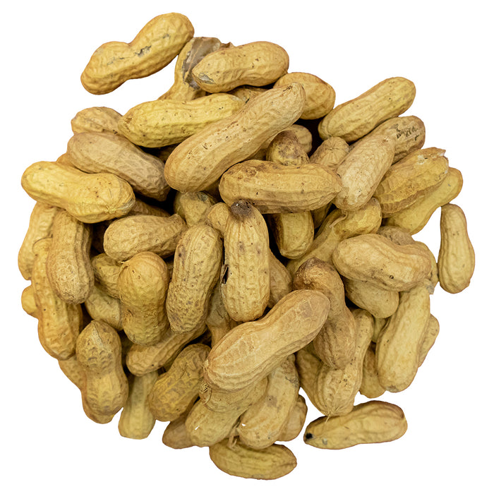Bird Peanuts Shell Bird Pro Premium Raw Peanuts In-Shell (3 lb) — Rohrer Seeds