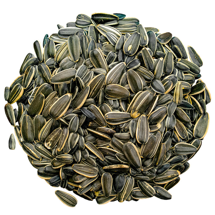 Bird Pro Premium Striped Sunflower Seed (4 lb)