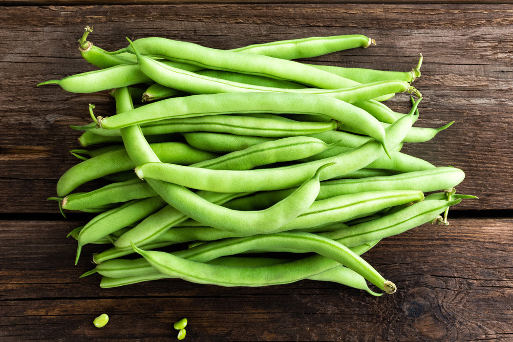 burpees plants and seeds Burpees Stringless Green-pod Bush Bean Seeds — Rohrer Seeds