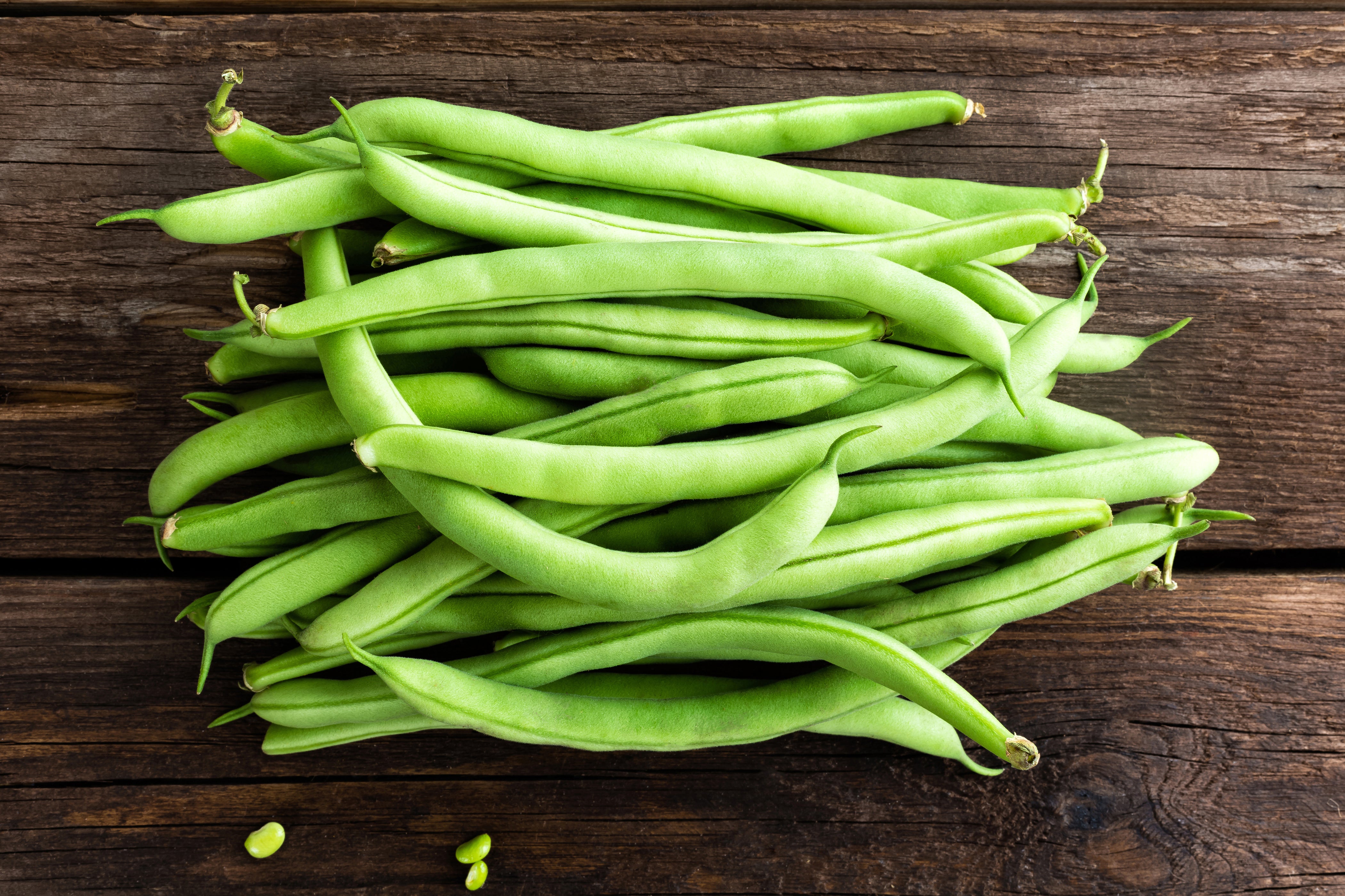 Burpees Stringless Green-pod Bush Bean Seeds — Rohrer Seeds