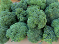 Calabrese Broccoli Seeds