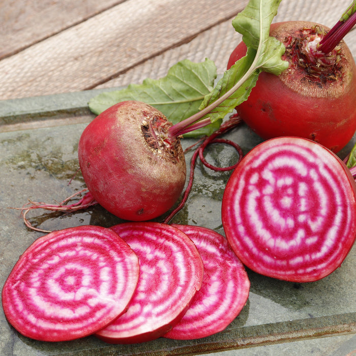 Red and white stripped Chioggia Beets grown from seed on a cutting board.