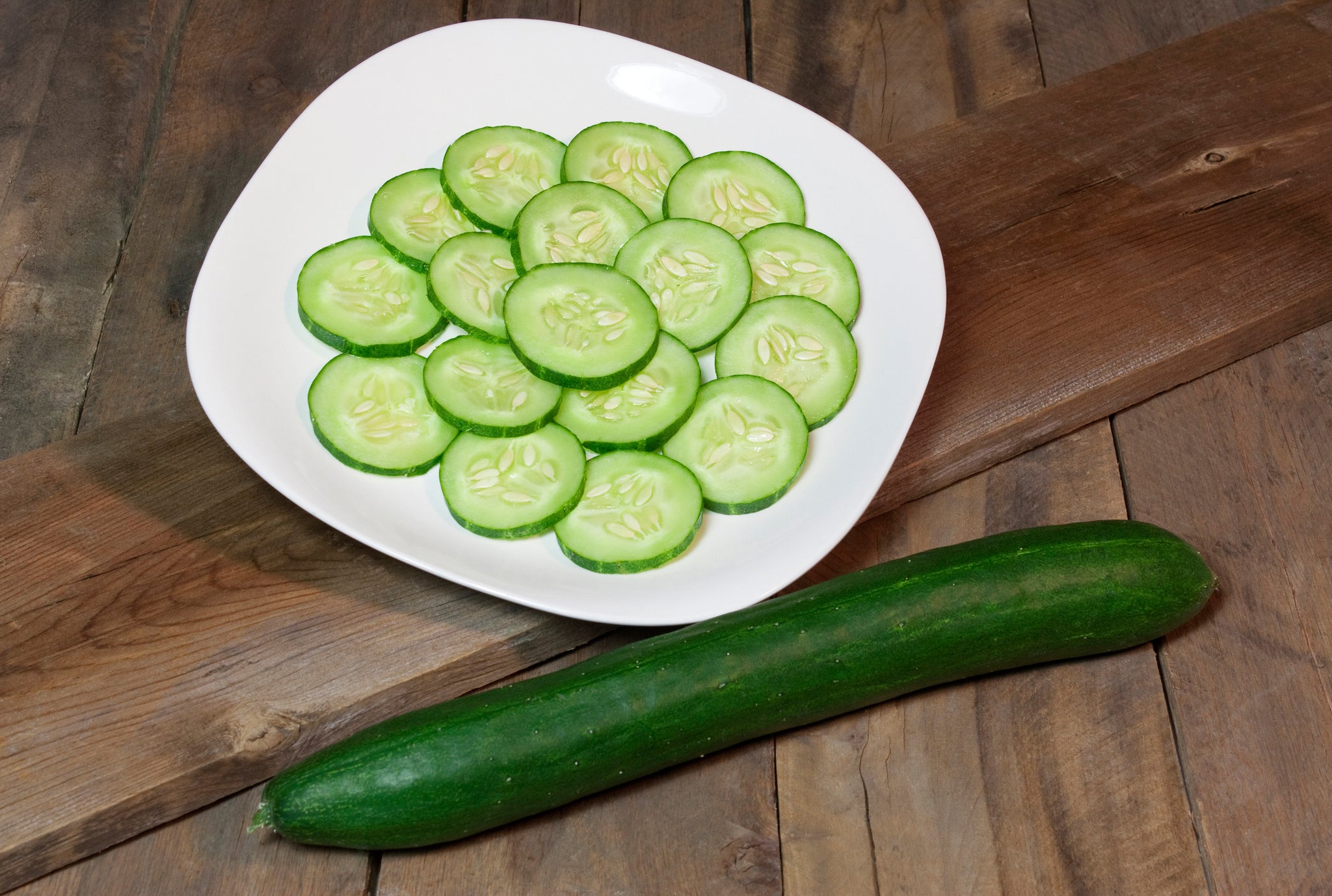 https://rohrerseeds.com/cdn/shop/products/Cucumber_TastyGreenB_1024x1024@2x.jpg?v=1640902813