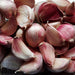 Inchelium Red Softneck Garlic (2 Bulbs/Pk)