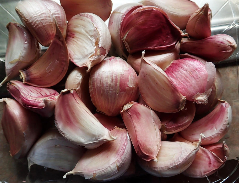 Inchelium Red Softneck Garlic (2 Bulbs/Pk)