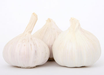 Transylvanian Softneck Garlic Bulbs (3 Bulbs/Pk)