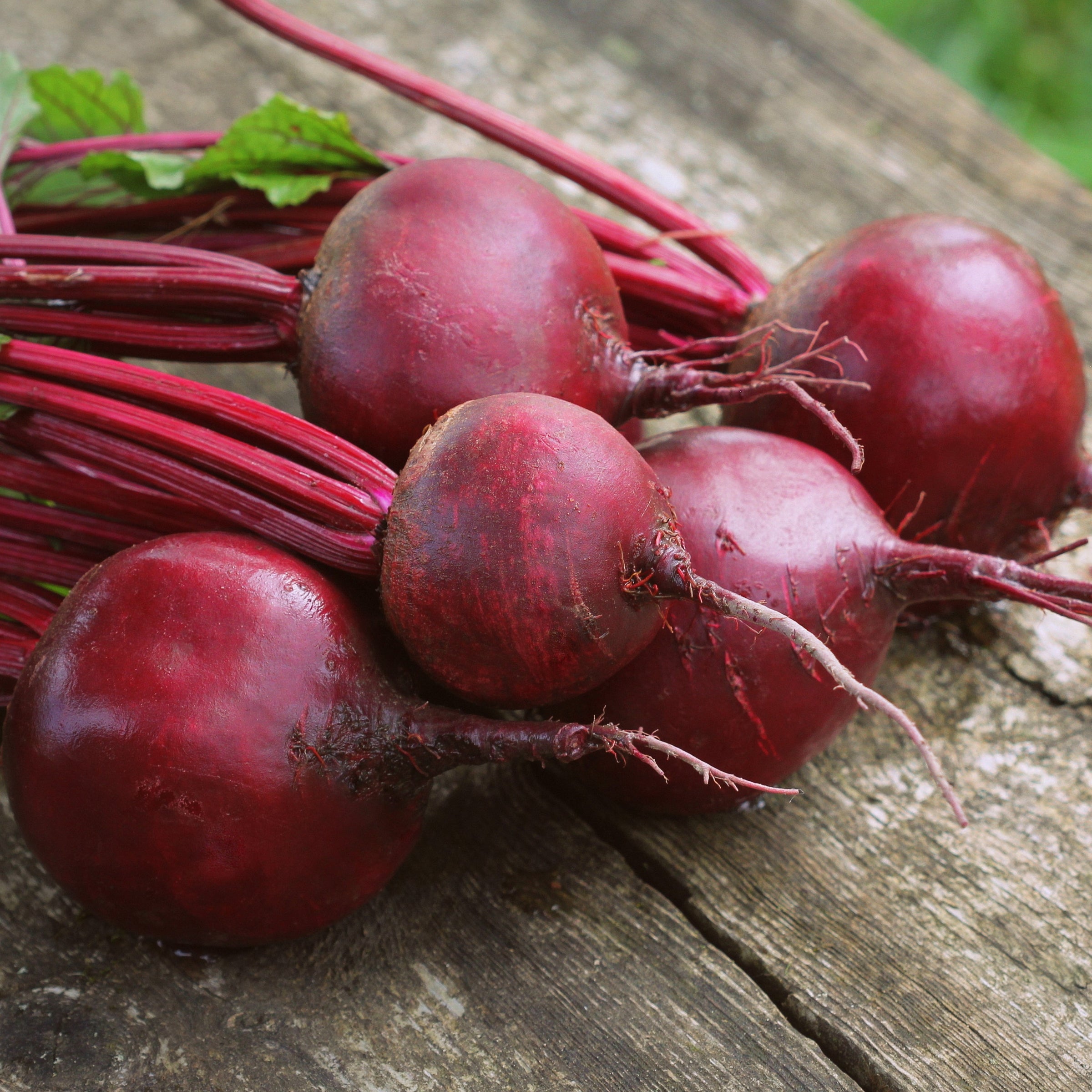 Organic Detroit Dark Red Beet Pkt?_pos=1&_psq=detroit+red&_ss=e&_v=1.0