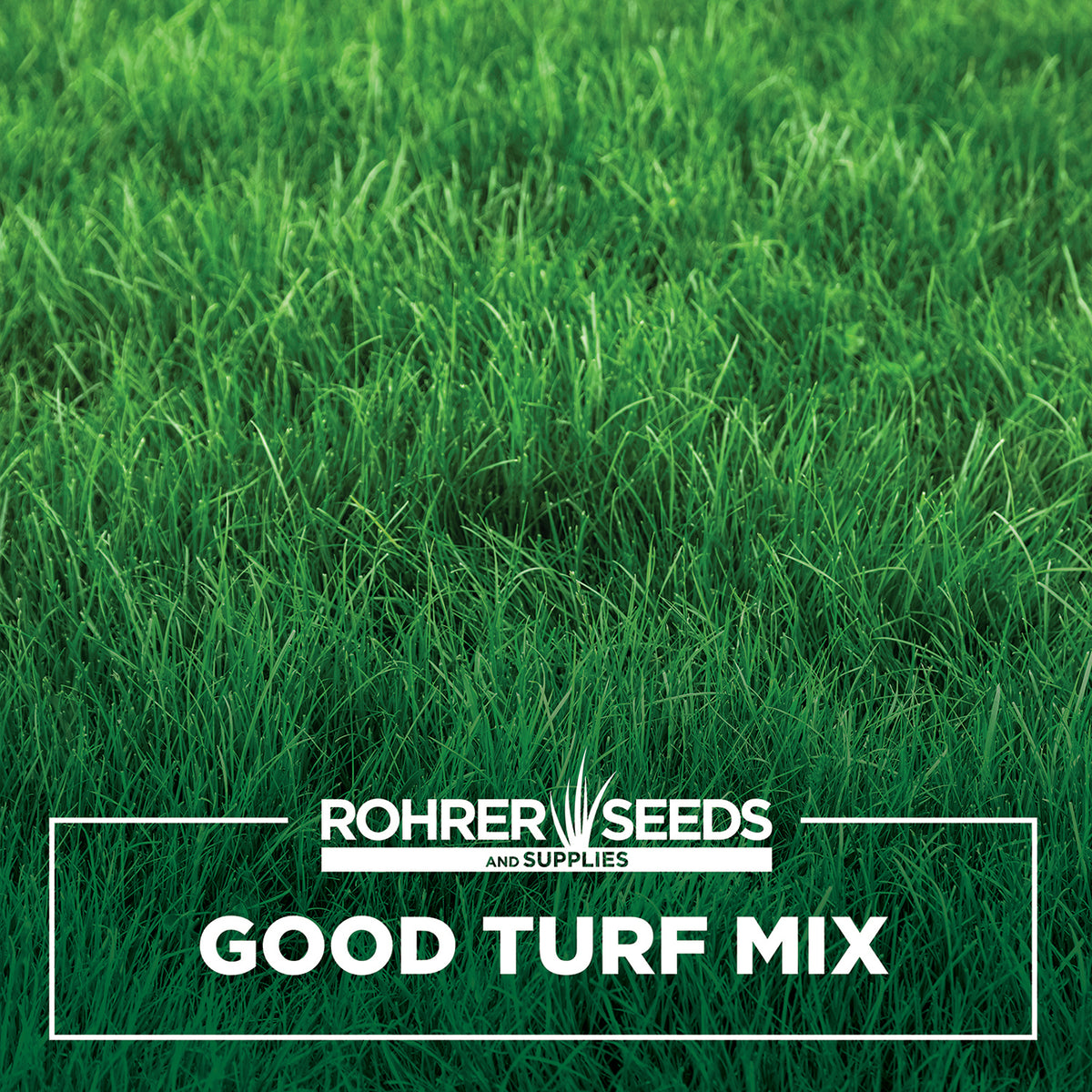 thumbnail image 2 of Organic Granular Compost & Seed - 20kg Lawn Top Dressing With 3-Way Grass Blend 2 of 14