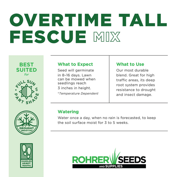best time to plant tall fescue seed Overtime Tall Fescue Grass Seed — Rohrer Seeds