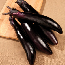 eggplantページ Shikou Hybrid Eggplant Seeds — Rohrer Seeds