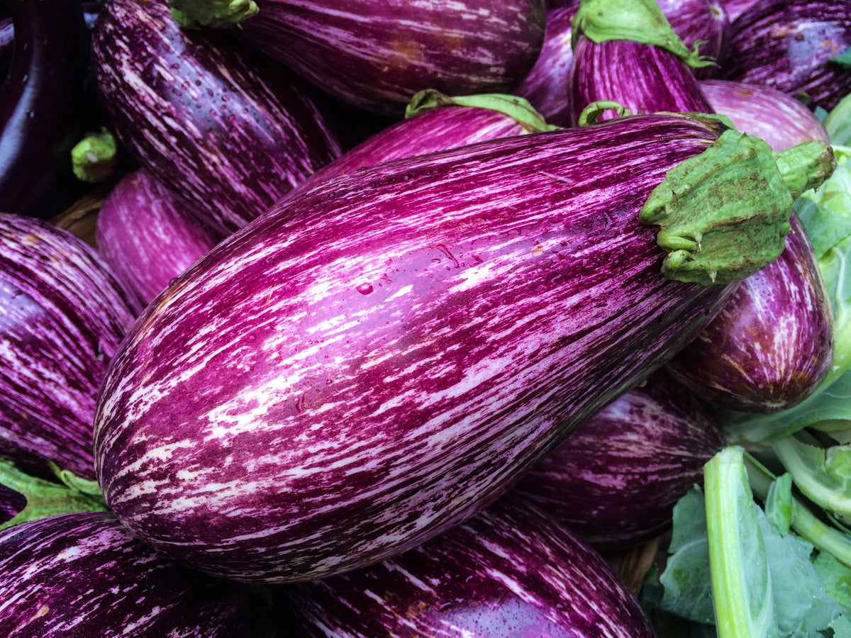 Fairy Tale Eggplant Seeds (Pkt) — Rohrer Seeds