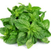 Genovese Basil Seeds