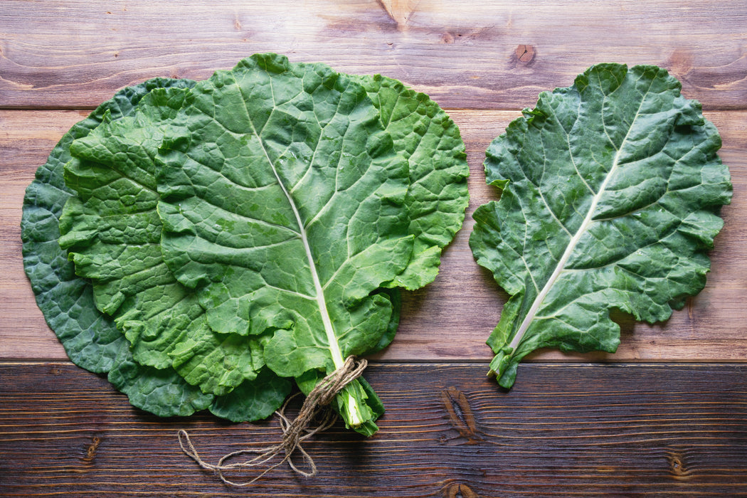 Large Collards Georgia Southern Collards Seeds — Rohrer Seeds