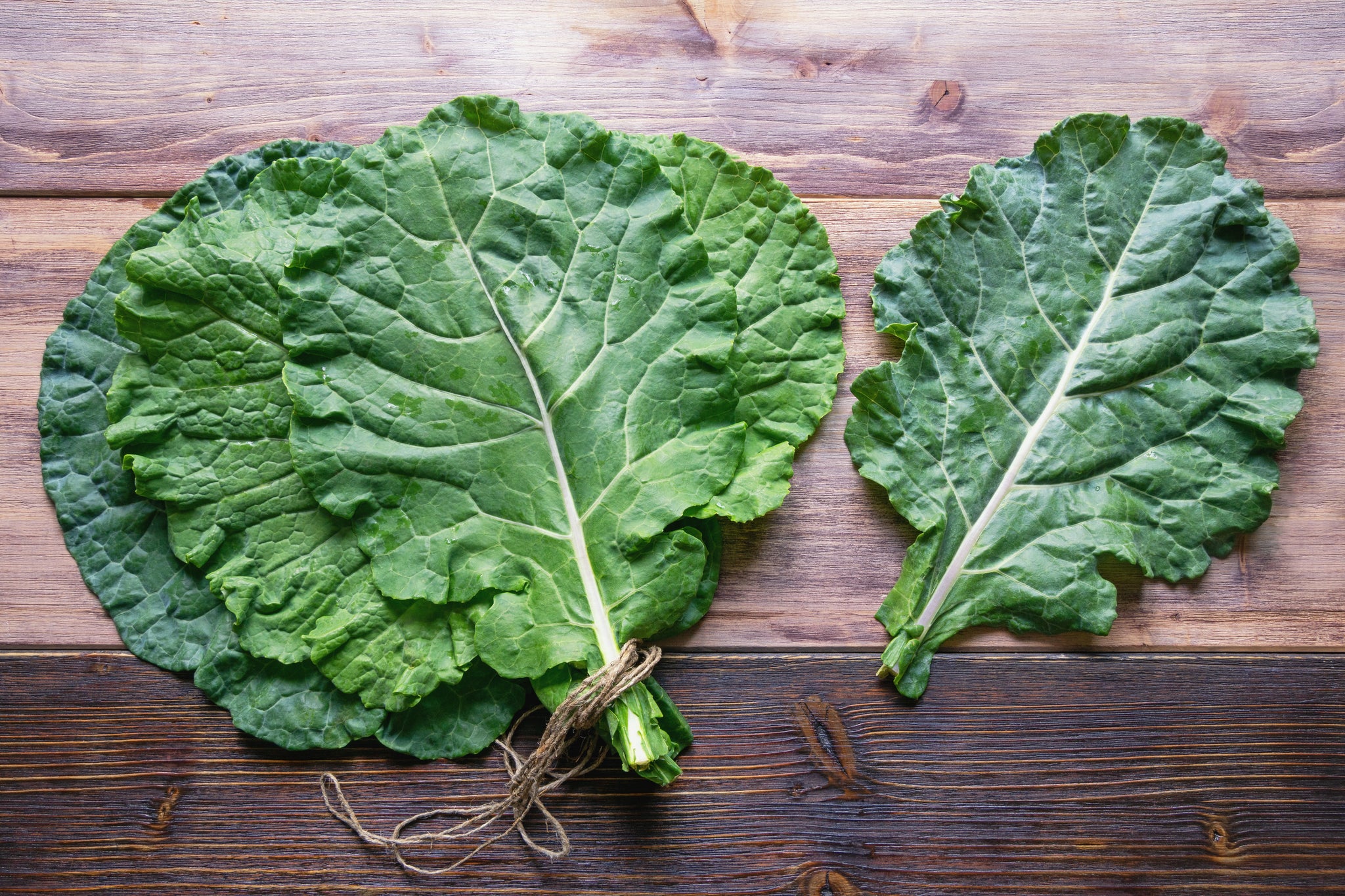 Collard Seeds — Rohrer Seeds