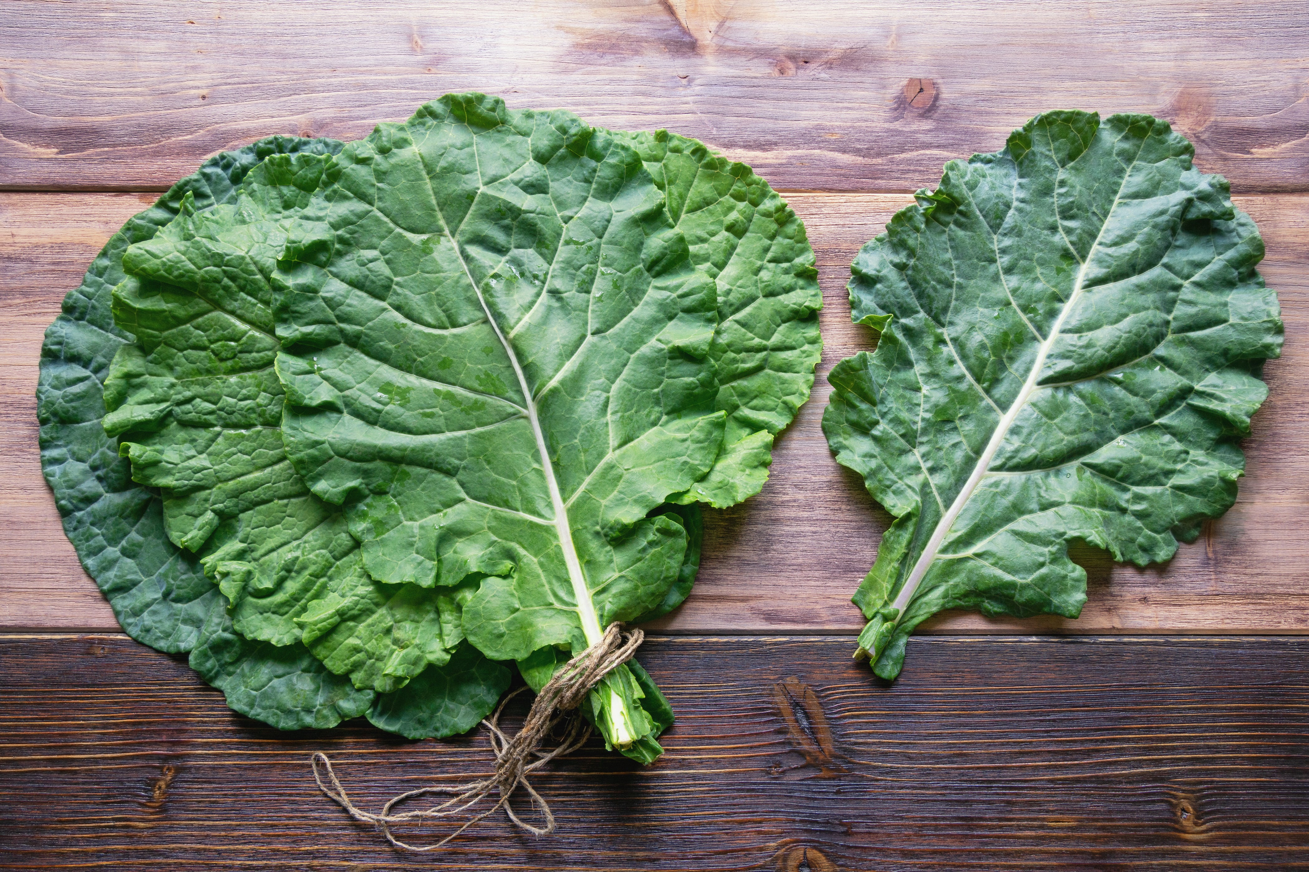 Georgia Southern Collards Seeds — Rohrer Seeds