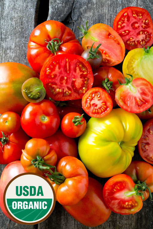 planting heirloom tomato seeds Organic Tomato Seeds — USDA Certified Heirloom Mix (100 seeds) — Rohrer Seeds