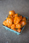 Habanero Orange Pepper Seeds
