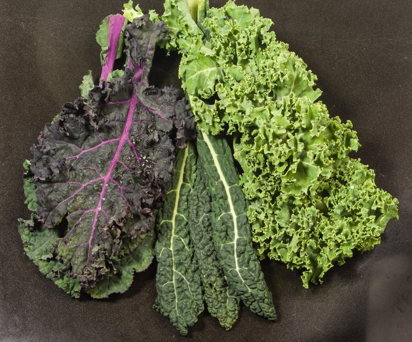 Kaleidoscope Mix Kale (800 seeds), Container Collection