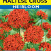 Lychnis Maltese Cross (pkt)