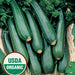 Organic Zucchini Seeds - USDA Black Beauty (25 Seeds)