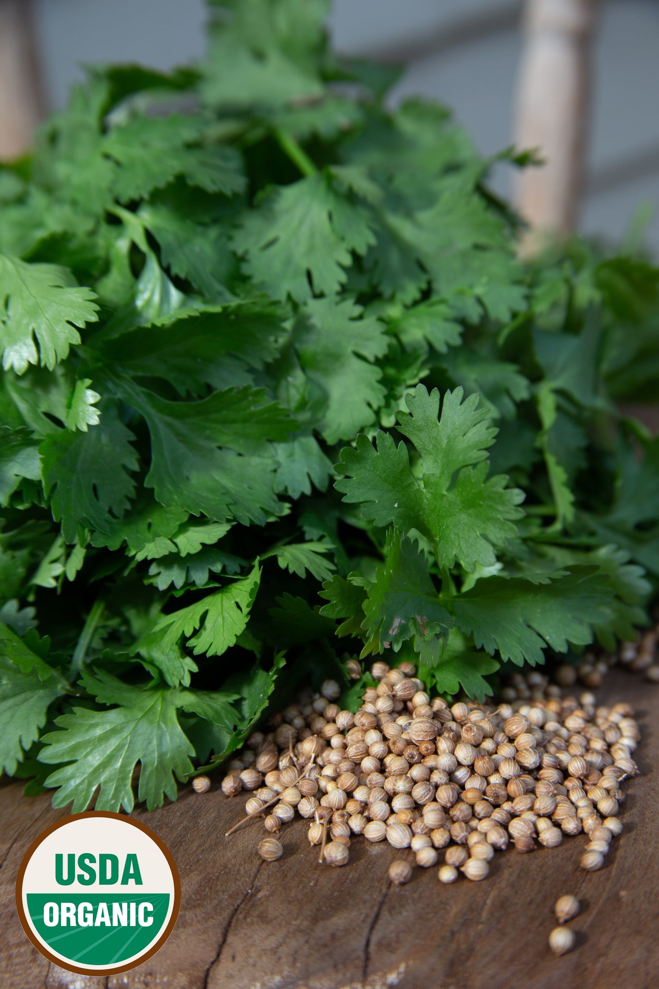 Cilantro / Coriander - Organic