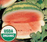 Organic Watermelon Seeds - USDA Crimson Sweet (50 Seeds)