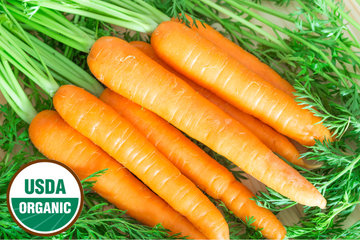 Organic Carrot Seeds - USDA Danvers 126 (500 Seeds)