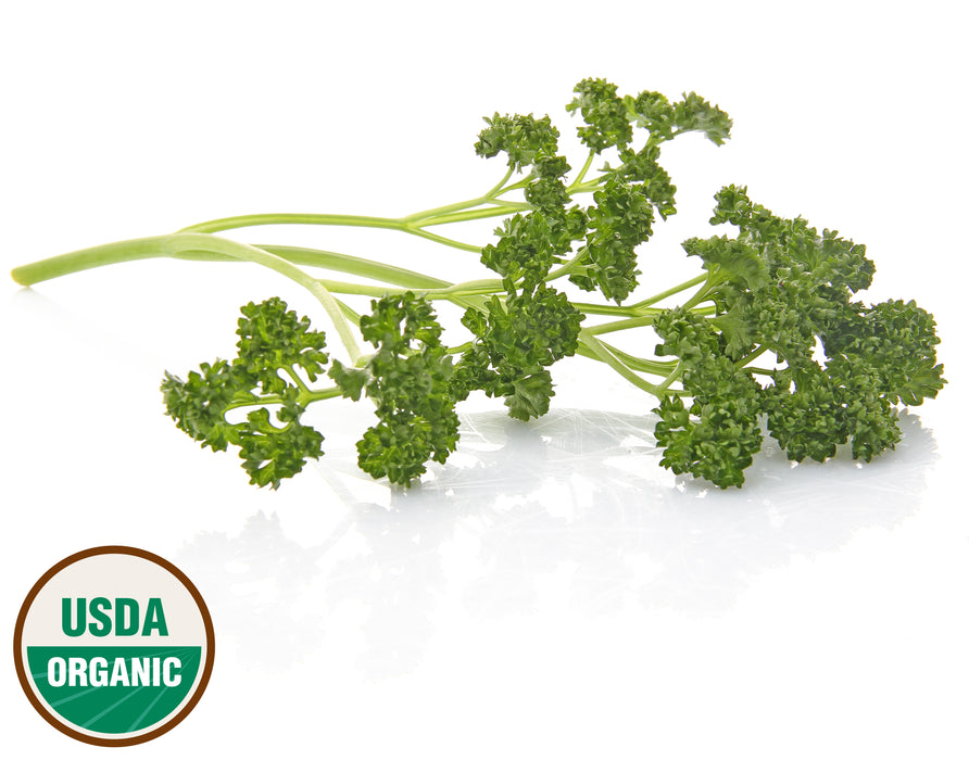 Organic Parsley Seeds - Moss Curled (500 Seeds)
