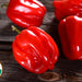 Organic Hot Pepper Seeds - USDA Red Habanero (30 Seeds)