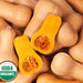 Organic Squash Seeds - USDA Waltham Butternut (30 Seeds)