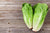 Parris Island Cos Romaine Lettuce