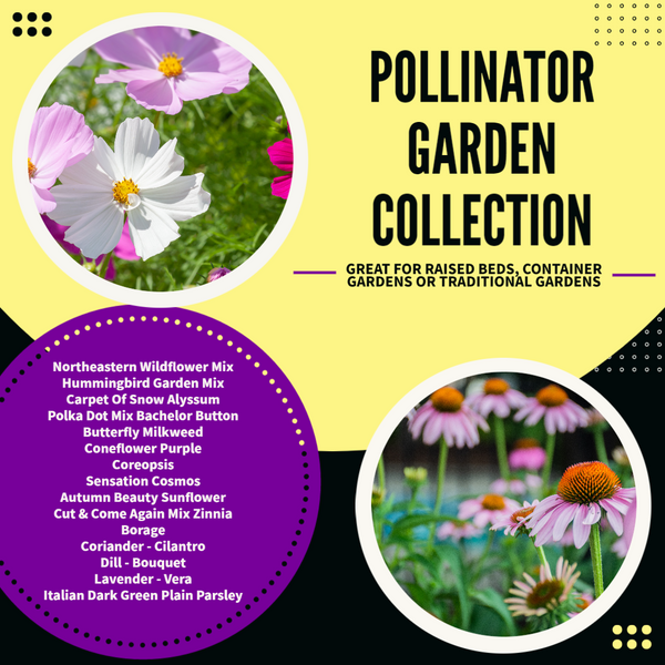Pollinator Collection, 7000+ Seeds