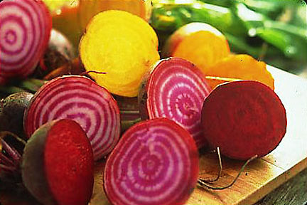 Red, yellow and candy cane stripped Jewel - Toned Beets grown from seed resting on a wooden table. 