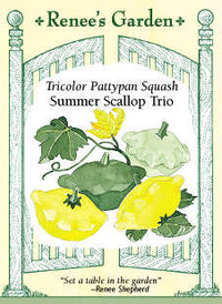 Summer Scallop Trio Squash