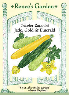 Tricolor Zucchini