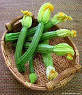 Romanesco Zucchini