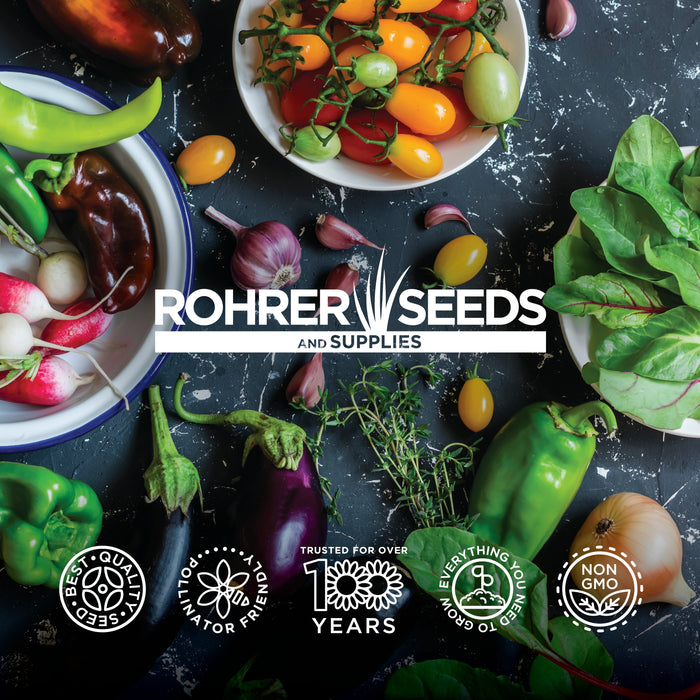 Rohrer's Raised Bed Seed Collection, 5,200+ Seeds