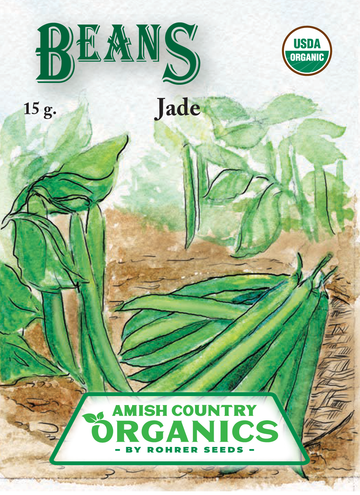 Organic Jade Beans (Pkt)