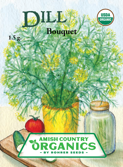 Organic Dill Seeds - USDA Bouquet (1,000 Seeds)