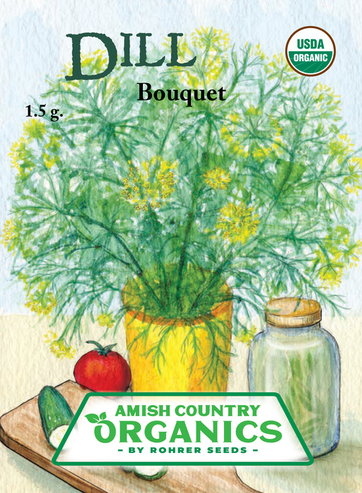 organic dill seeds for planting Organic Bouquet Dill Seeds — Rohrer Seeds